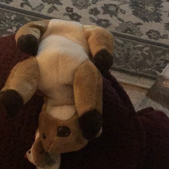 TY beanie baby DEER Whisper dob 4/5/97 hang tag on very cute clean bagged - Picture 10 of 11